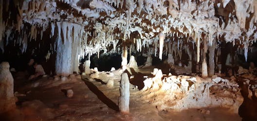 Экскурсия по пещере с местным гидом в Бонайре